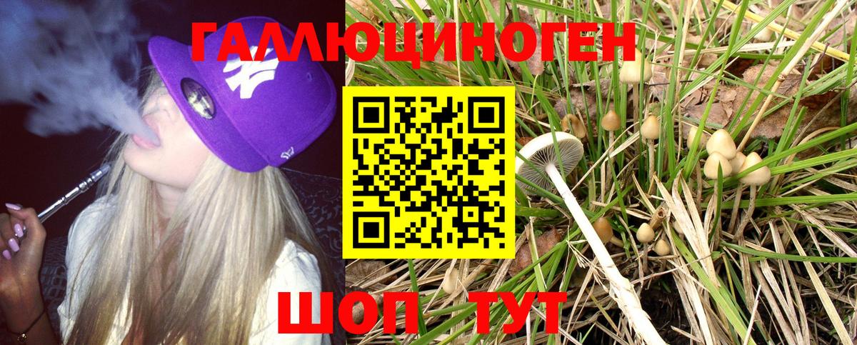 Галлюциногенные грибы Psilocybe  Вход с VPN  Ангарск 